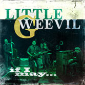 Little G Weevil · ’If I May…’ lemezbemutató